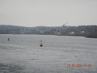 kolmule 2012 133 : kolmule 2012